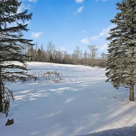 Retro Ski-In Ski-Out Villa At Powderhorn Mountain Bessemer エクステリア 写真