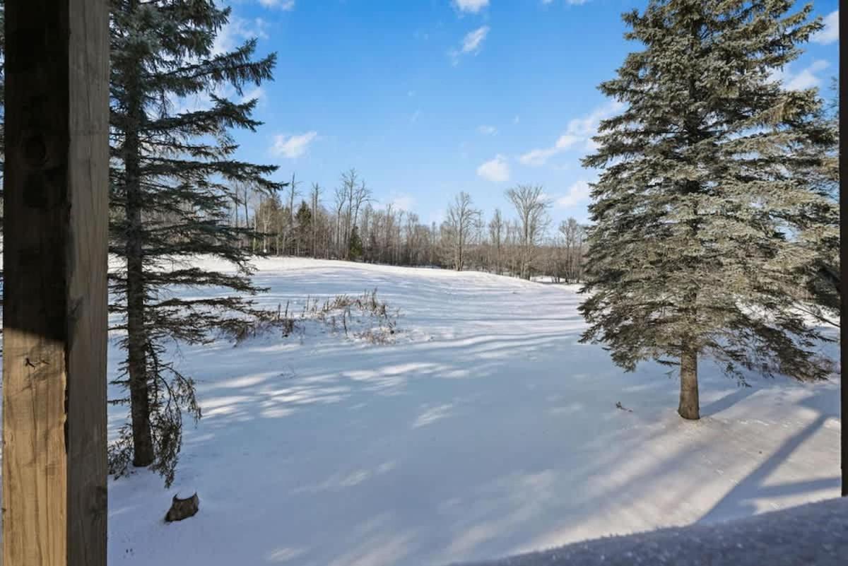 Retro Ski-In Ski-Out Villa At Powderhorn Mountain Bessemer エクステリア 写真